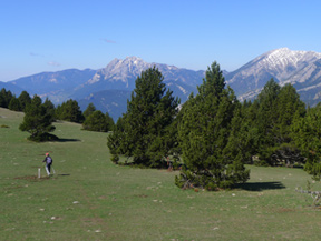 Route du Trencapinyes et le belvédère des Orris