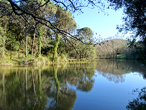 Randonnée des pantans d´en Llobet à Vidreres