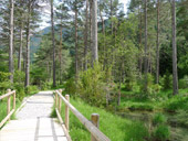 Itinéraire adapté du Cornato dans la vallée de Pineta