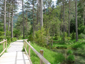 Itinéraire adapté du Cornato dans la vallée de Pineta