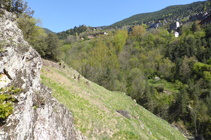 Forêt riveraine à la rivière d´Aixirivall.