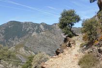 Chemin de la borda du Mas.