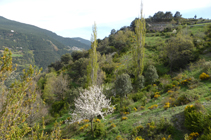 En descendant vers Sant Julià.