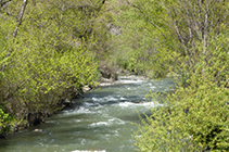 La rivière Valira traversant Aixovall.