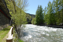 Forêt riveraine à la promenade Valira.