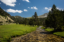 Nous arrivons sur un replat qui nous offre des images d´une beauté inégalable.