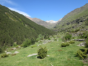 Vallée de Riqüerna et chemin de Rus depuis Capdella