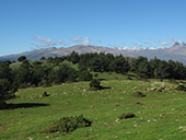 Itinéraire par la Serra de Freixa depuis Llagunes