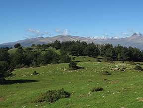 Itinéraire par la Serra de Freixa depuis Llagunes