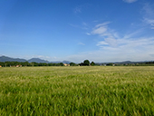 Tour par le Rec de Banyacans et les sources de Salitja
