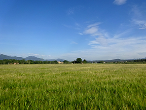 Tour par le Rec de Banyacans et les sources de Salitja